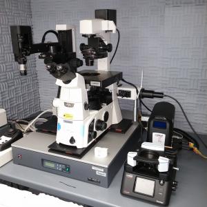 Microscope with a series of different lenses and digital readout screens